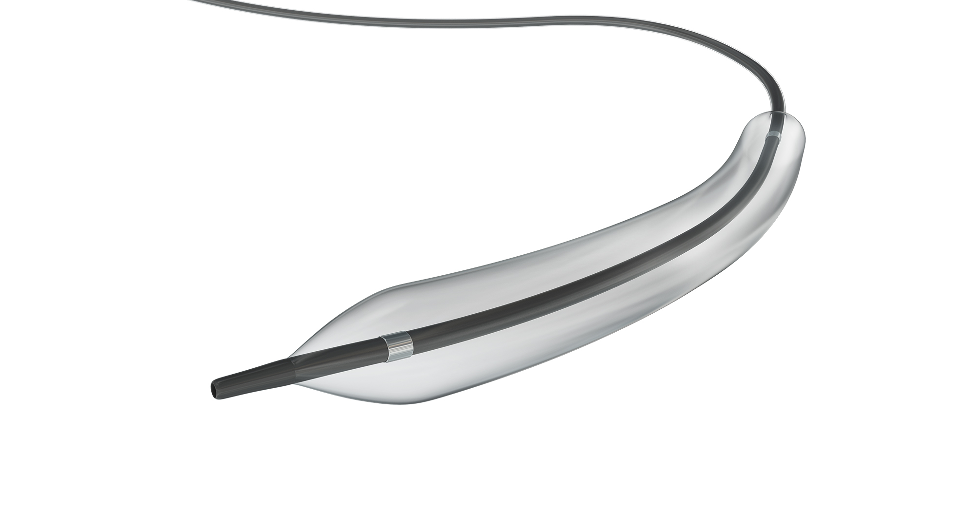 PTA Dilatation Catheter